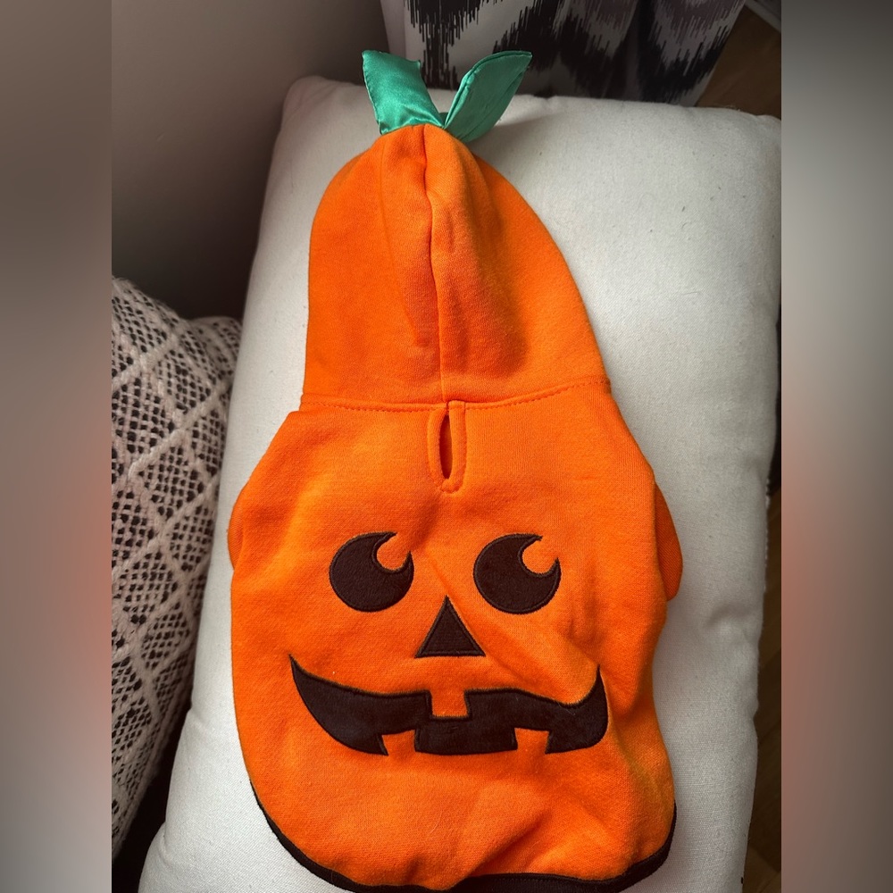 Pumpkin Sweater